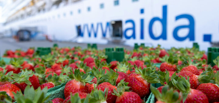Karls Erdbeeren vor einem AIDA Schiff