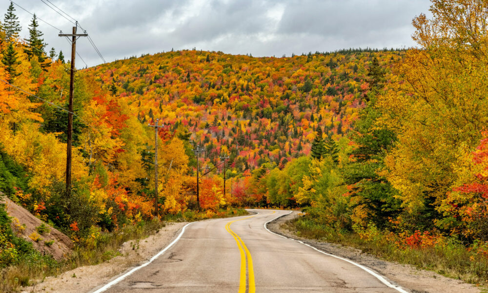 Indian Summer in Kananda