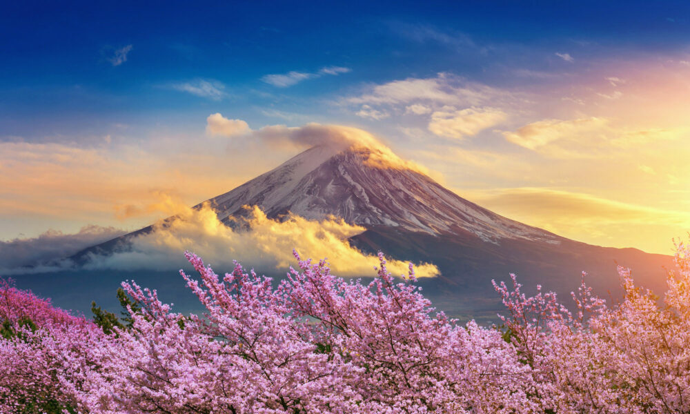 Japan mit Kirschblüte