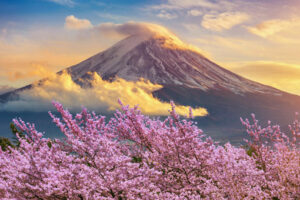 Japan mit Kirschblüte