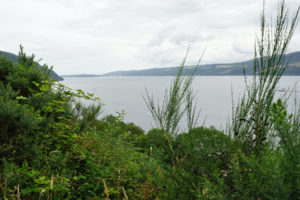 Kreuzfahrt zu Loch Ness. Foto: Anna Pöhler